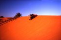 0_1727303_22727.jpg